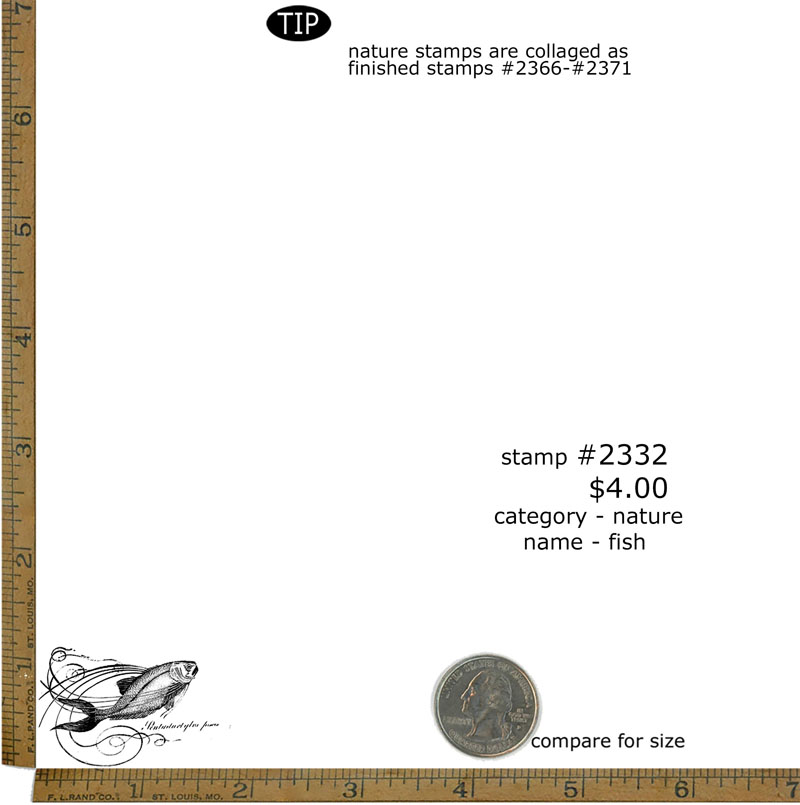 #2332 - Fish - Nature